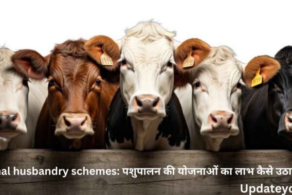 Animal husbandry schemes: पशुपालन की योजनाओं का लाभ कैसे उठाएं?