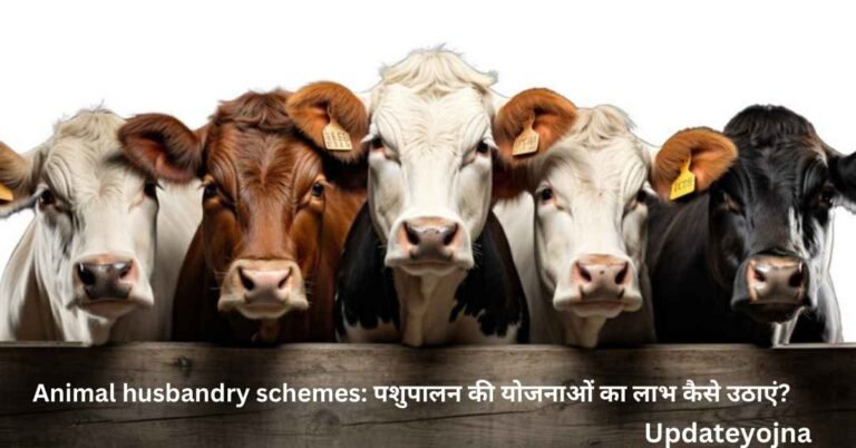 Animal husbandry schemes: पशुपालन की योजनाओं का लाभ कैसे उठाएं?